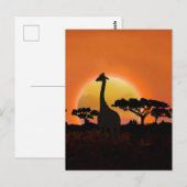 Serengeti Sunset Giraffe | safari in het wild Briefkaart (Voorkant / Achterkant)