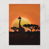 Serengeti Sunset Giraffe | safari in het wild Briefkaart (Voorkant)