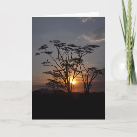 Serengeti Sunset Kaart (Voorkant)