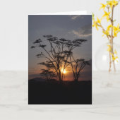 Serengeti Sunset Kaart (Gele Bloem)