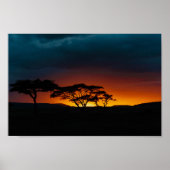 Serengeti Sunset Poster (Voorkant)