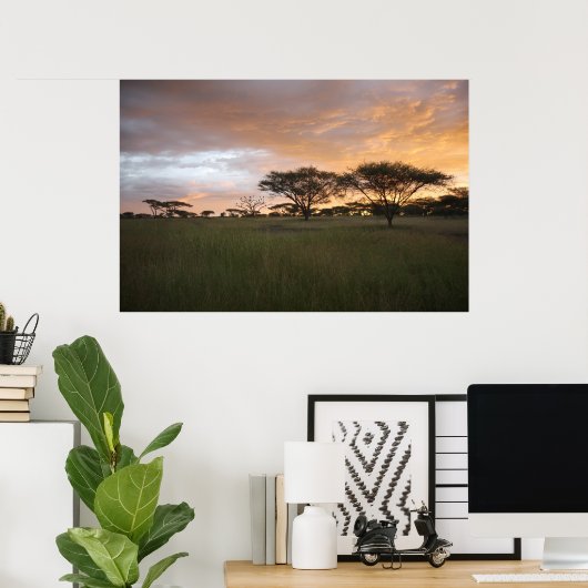 Serengeti Sunset Poster (Thuiskantoor)