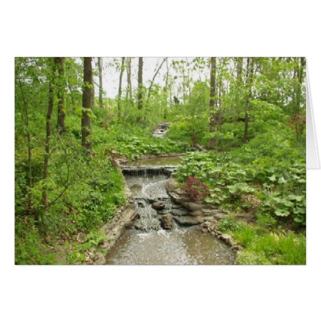 Sereniteit (Voorkant Horizontaal)