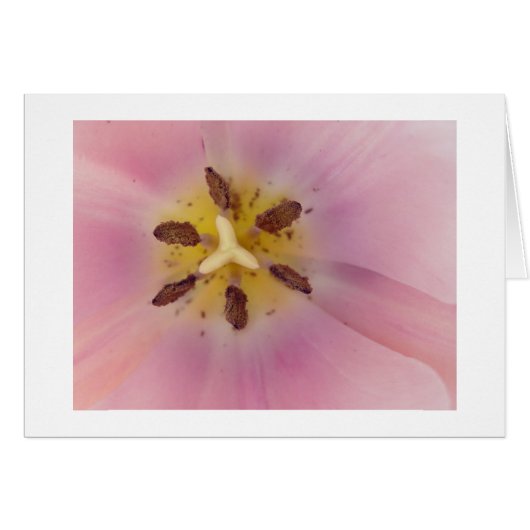 Sereniteit (Voorkant Horizontaal)