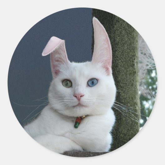 Sereniteit als Bunny sticker (Voorkant)