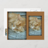 Sereniteit Briefkaart (Voorkant / Achterkant)