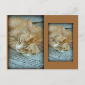 Sereniteit Briefkaart (Voorkant)