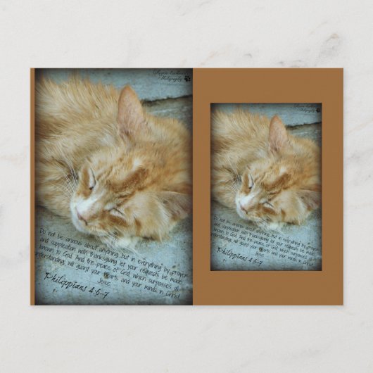 Sereniteit Briefkaart (Voorkant)