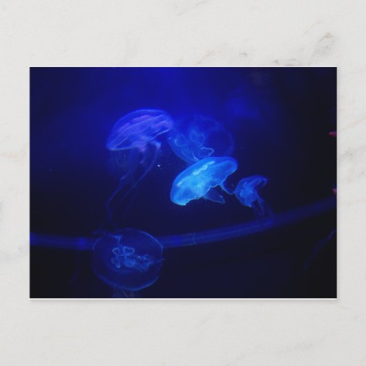 Sereniteit Briefkaart (Voorkant)