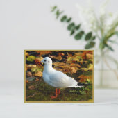 Sereniteit Briefkaart (Staand voorkant)