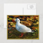 Sereniteit Briefkaart (Voorkant / Achterkant)