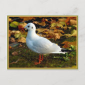 Sereniteit Briefkaart (Voorkant)