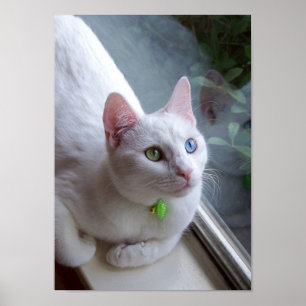 Sereniteit door poster Venster