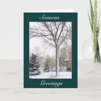 Sereniteit in de Blizzard Feestdagen Kaart