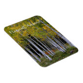 Sereniteit in Gold en Green Aspen's Flagstaff Magneet (Rechterzijde)