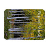 Sereniteit in Gold en Green Aspen's Flagstaff Magneet (Horizontaal)