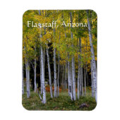 Sereniteit in Gold en Green Aspen's Flagstaff Magneet (Verticaal)