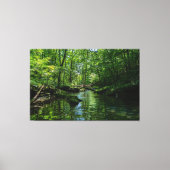 Sereniteit in het bos canvas afdruk (Voorkant)