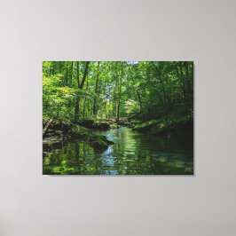 Sereniteit in het bos canvas afdruk