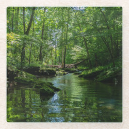 Sereniteit in het bos glazen onderzetter