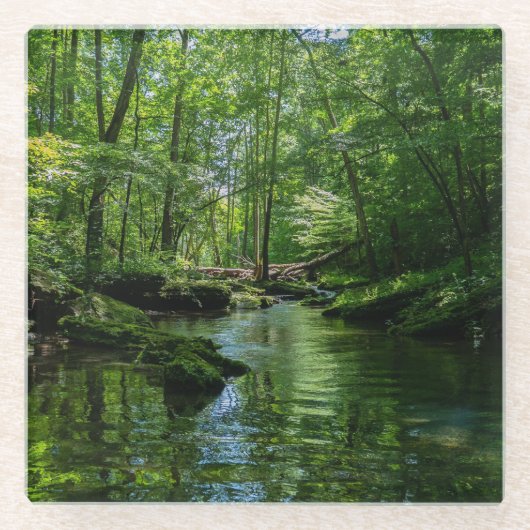 Sereniteit in het bos glazen onderzetter (Voorkant)