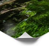 Sereniteit in het bos perfect poster (Hoek)