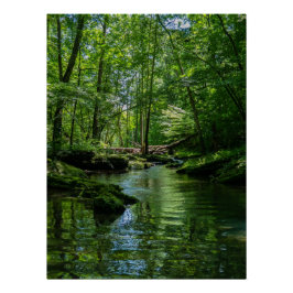 Sereniteit in het bos perfect poster