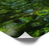 Sereniteit in het bos perfect poster (Hoek)