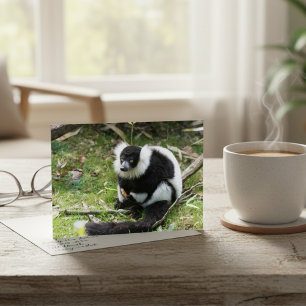 Sereniteit in het wild: zwart-wit ruffed Lemur Briefkaart
