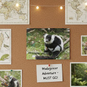 Sereniteit in het wild: zwart-witte vari van de ma briefkaart