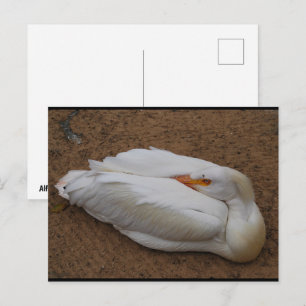 Sereniteit in het wit briefkaart