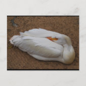 Sereniteit in het wit briefkaart (Voorkant)