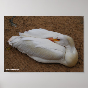 Sereniteit in het wit poster