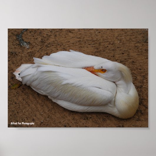 Sereniteit in het wit poster (Voorkant)