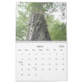 Sereniteit Kalender (Mar 2026)