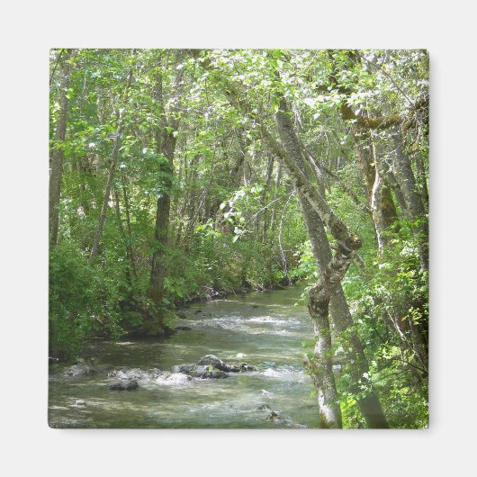 Sereniteit.... Magneet (Voorkant)