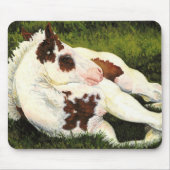 Sereniteit - Paint Horse Foal Mousepad Muismat (Voorkant)