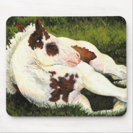 Sereniteit - Paint Horse Foal Mousepad Muismat