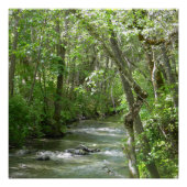 Sereniteit.... Perfect Poster (Voorkant)