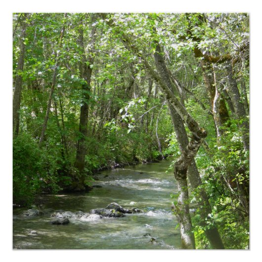 Sereniteit.... Perfect Poster (Voorkant)