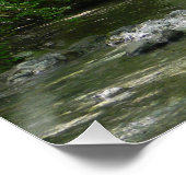 Sereniteit.... Perfect Poster (Hoek)