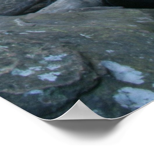 Sereniteit Poster (Hoek)