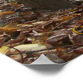 Sereniteit Poster (Hoek)