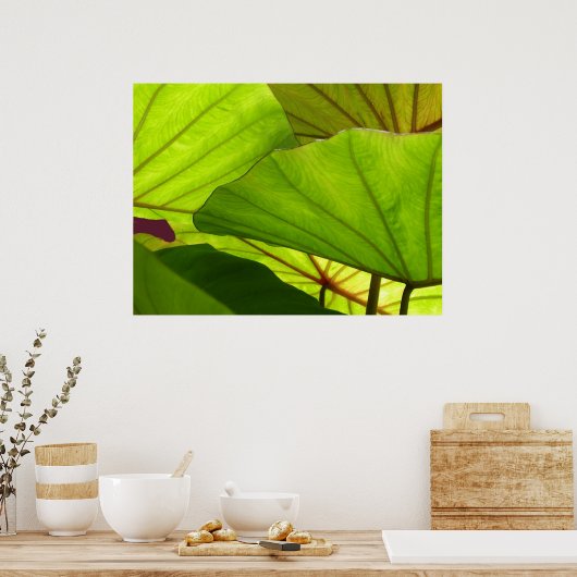 Sereniteit Poster (Keuken)