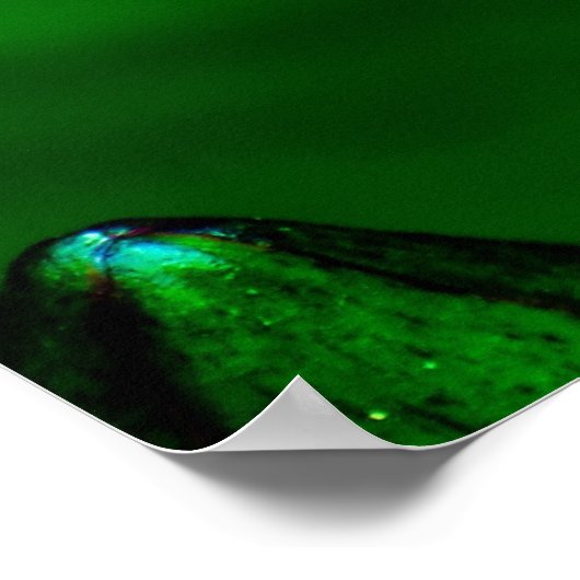 Sereniteit - poster (Hoek)