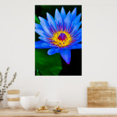 Sereniteit - poster (Keuken)