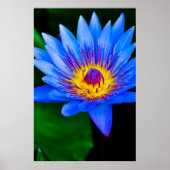 Sereniteit - poster (Voorkant)