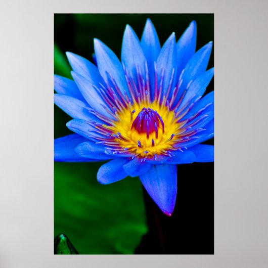 Sereniteit - poster (Voorkant)