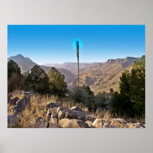 Sereniteit - Poster