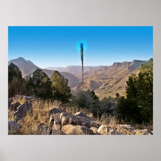 Sereniteit - Poster (Voorkant)